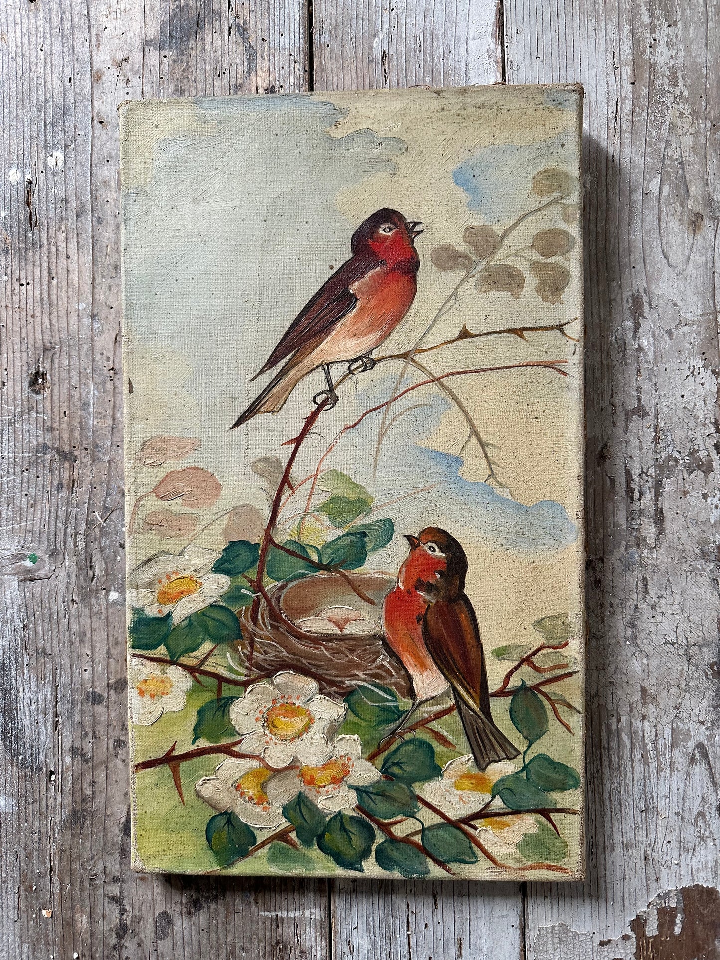 Les rouges gorges