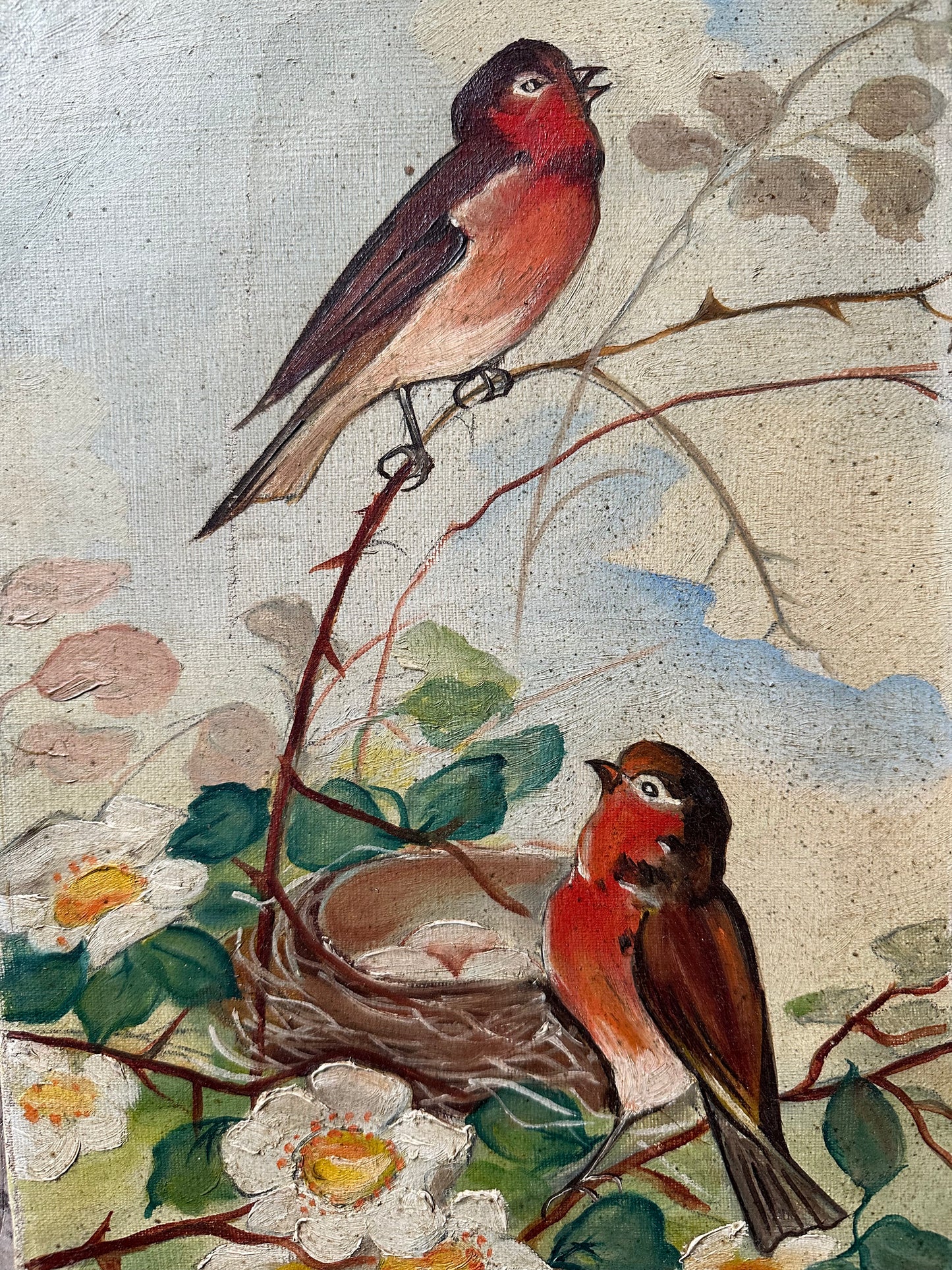 Les rouges gorges