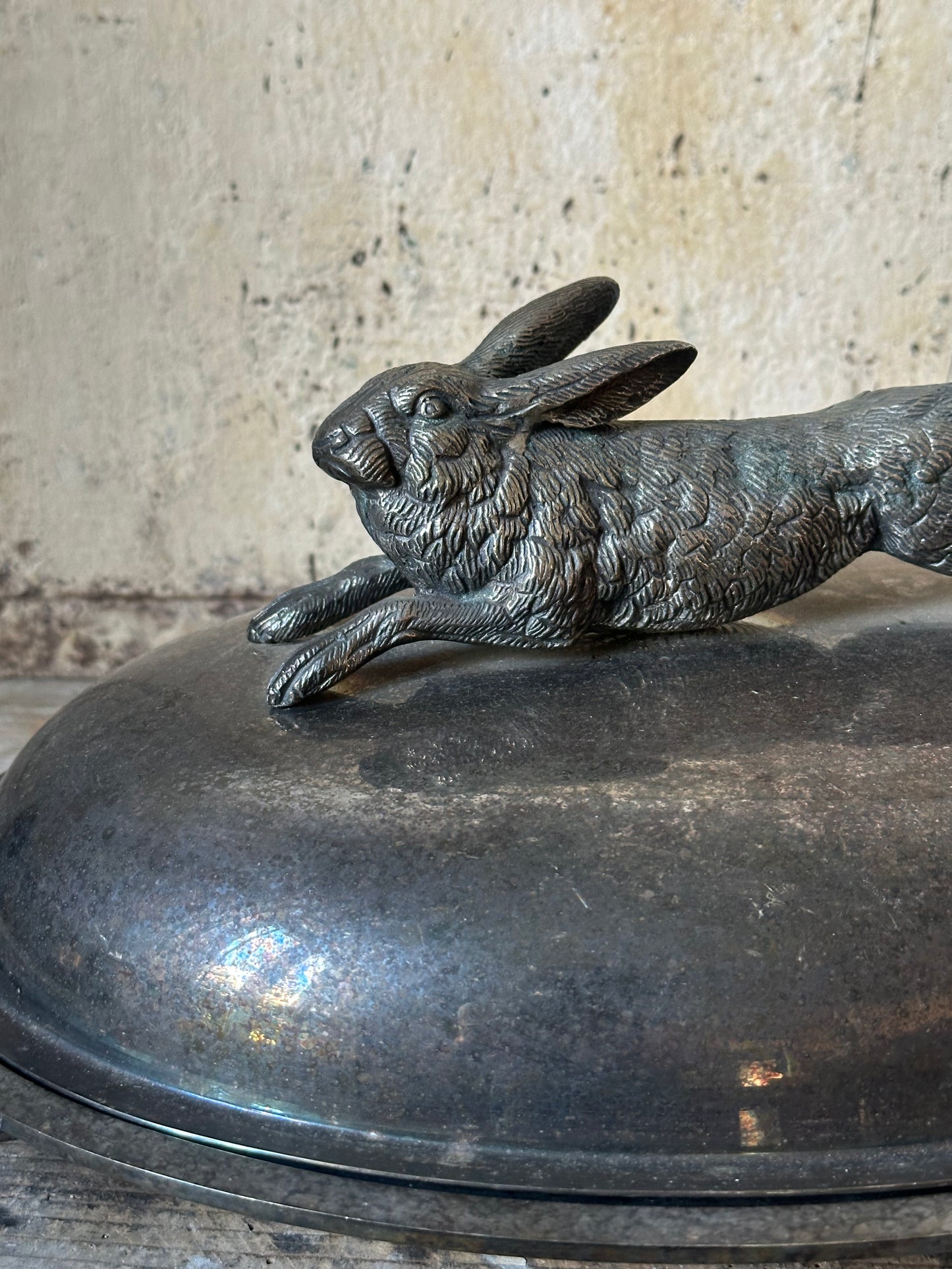 Le lièvre