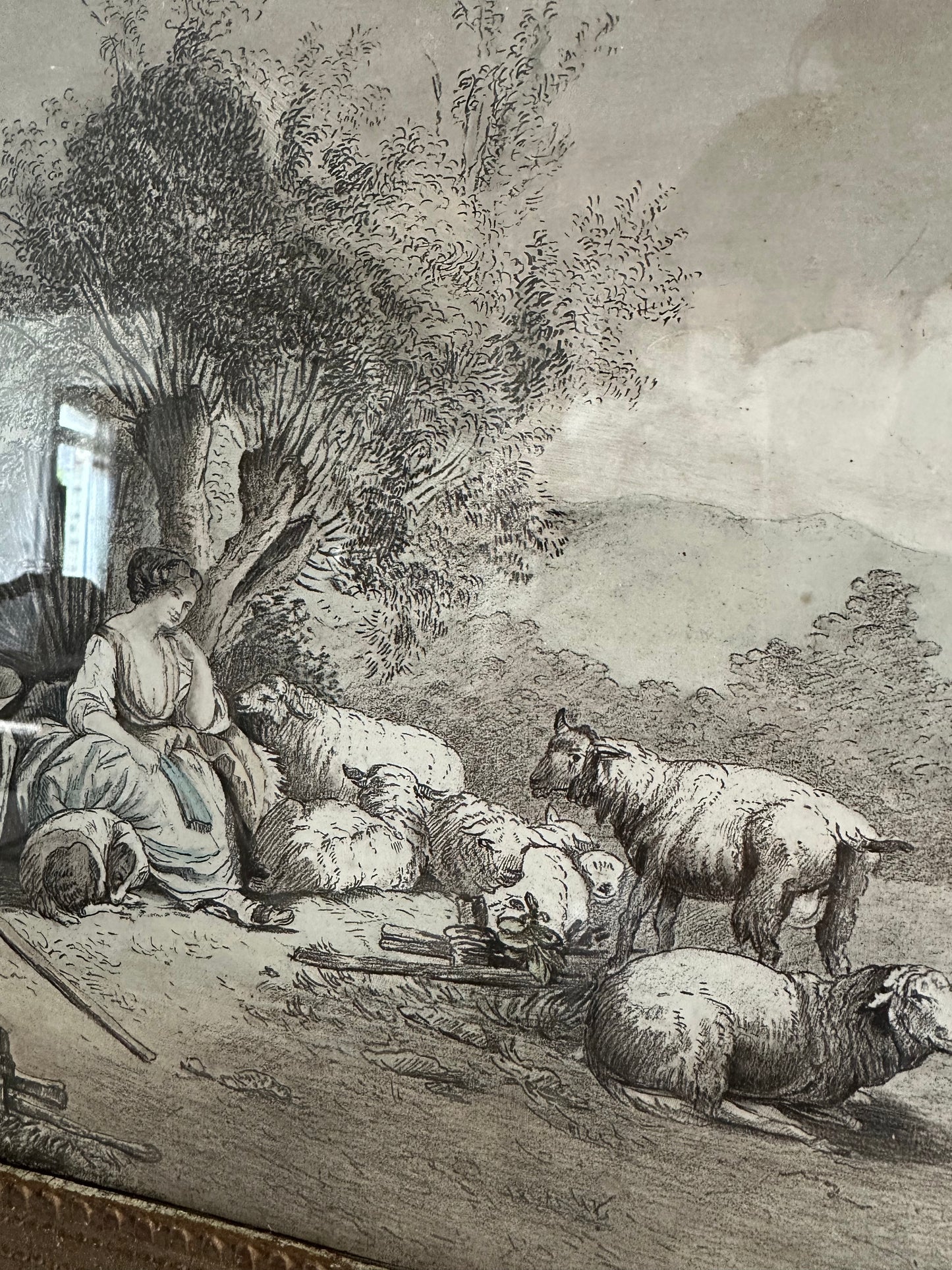 Les moutons