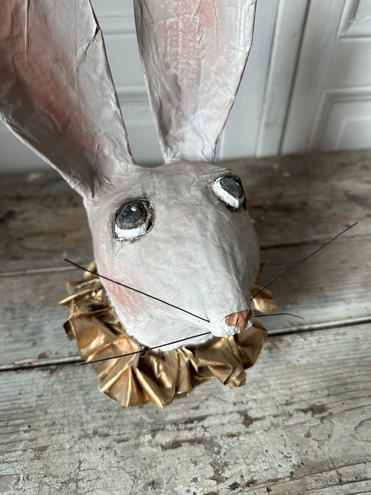 Tête de lapin