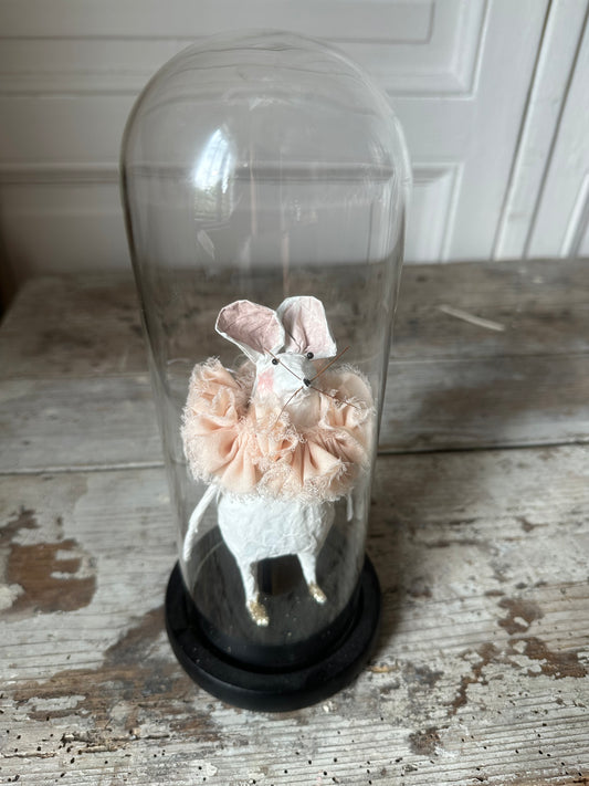Petite souris sous cloche