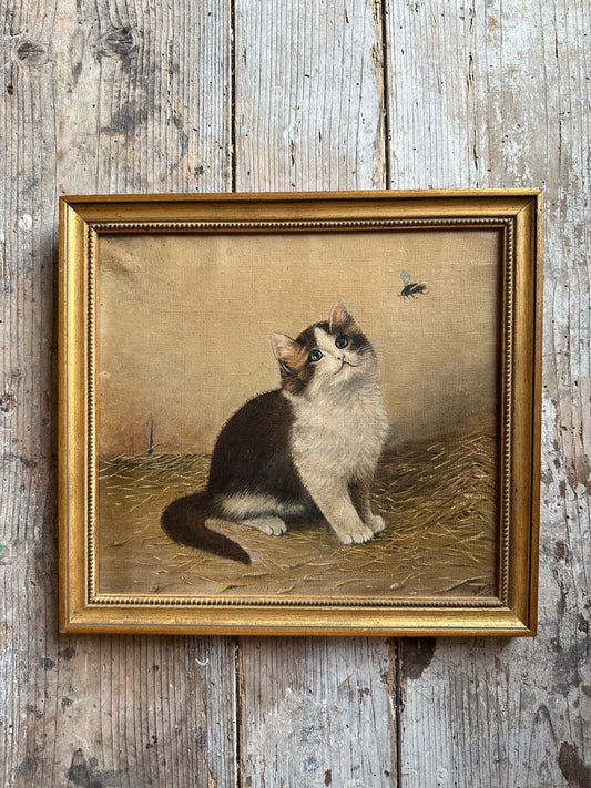 Le chat et la mouche