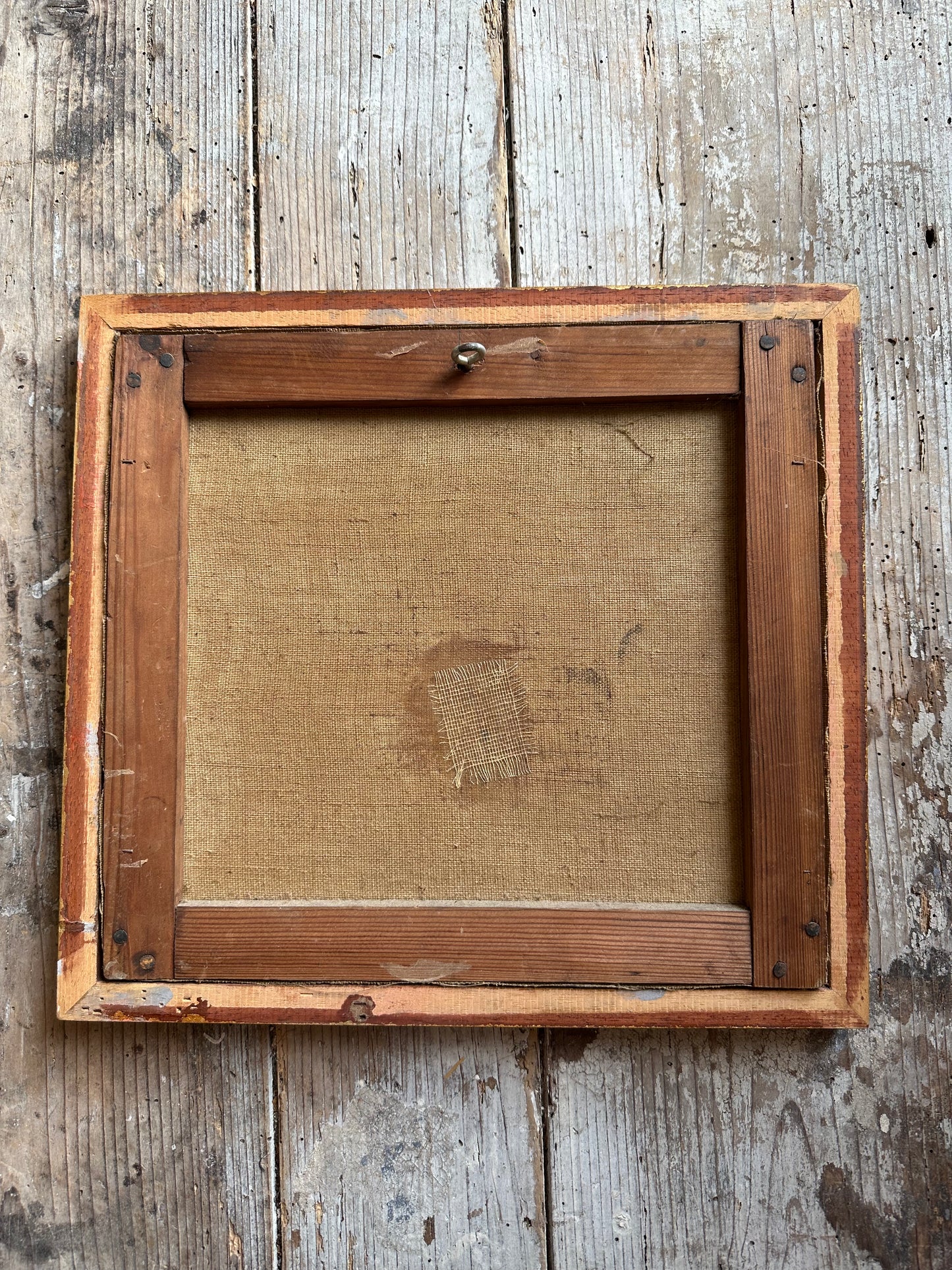 Le chat et la mouche