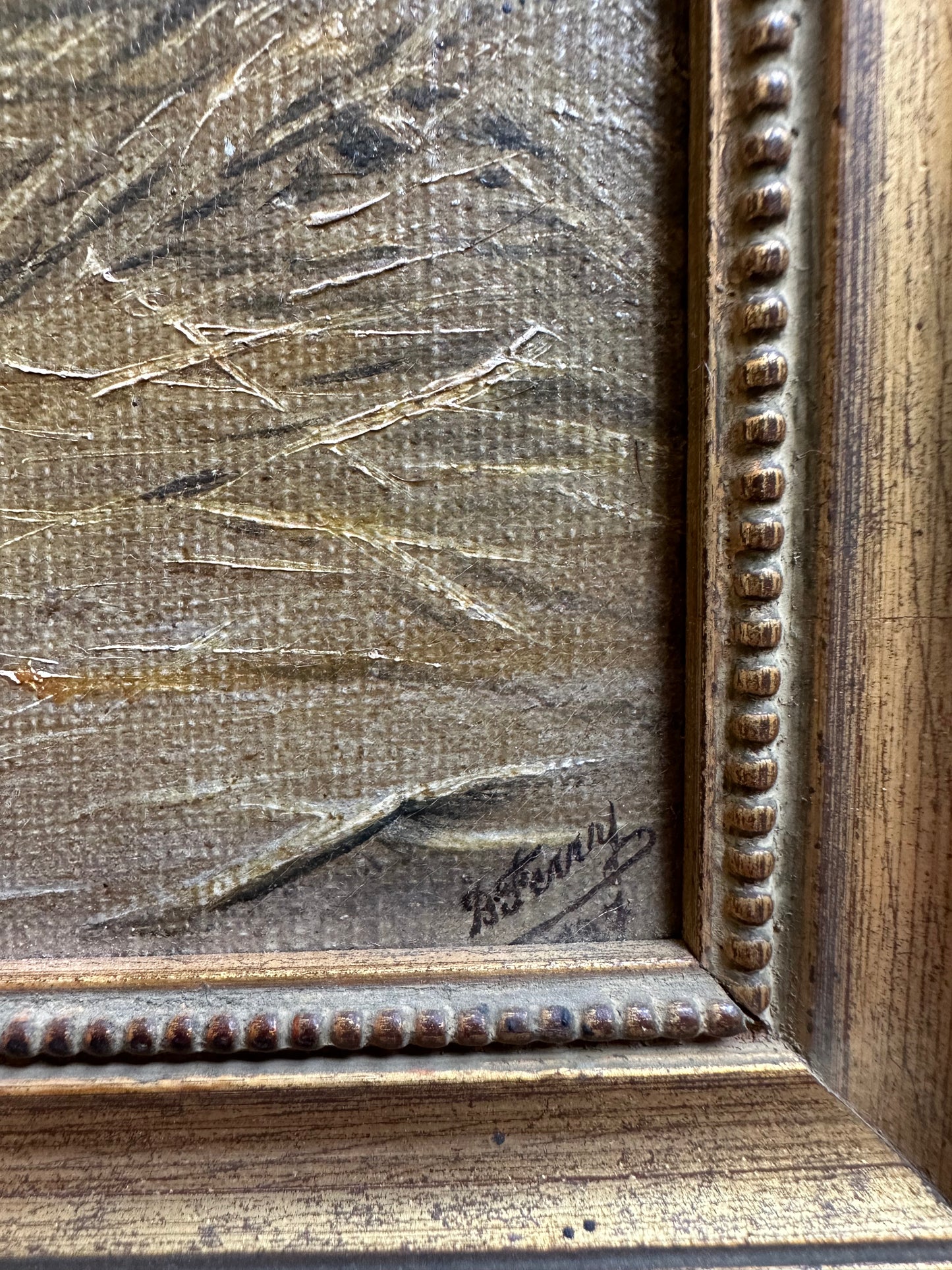 Le chat et la mouche