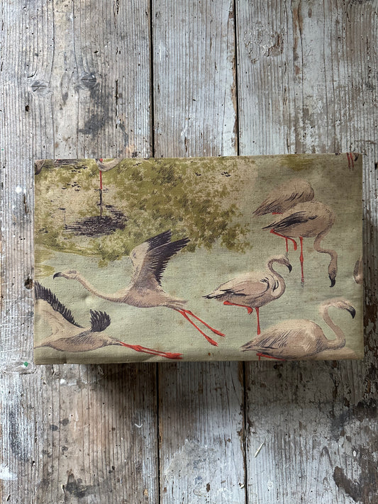 Les flamands roses