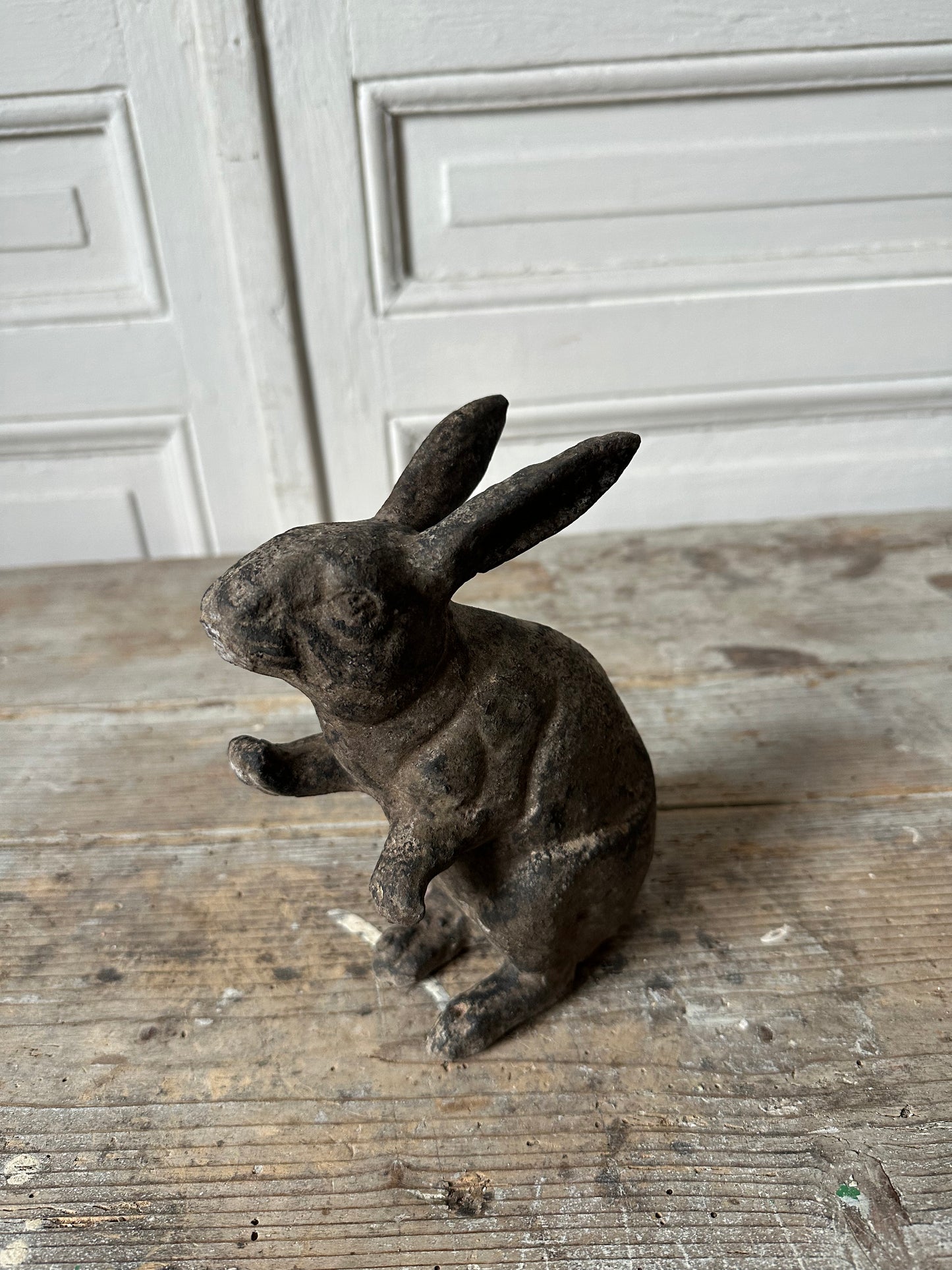 Lapin