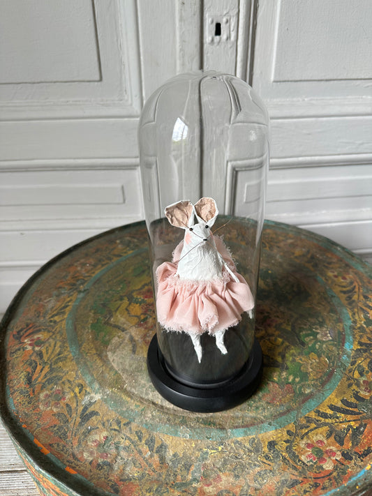 Souris sous cloche