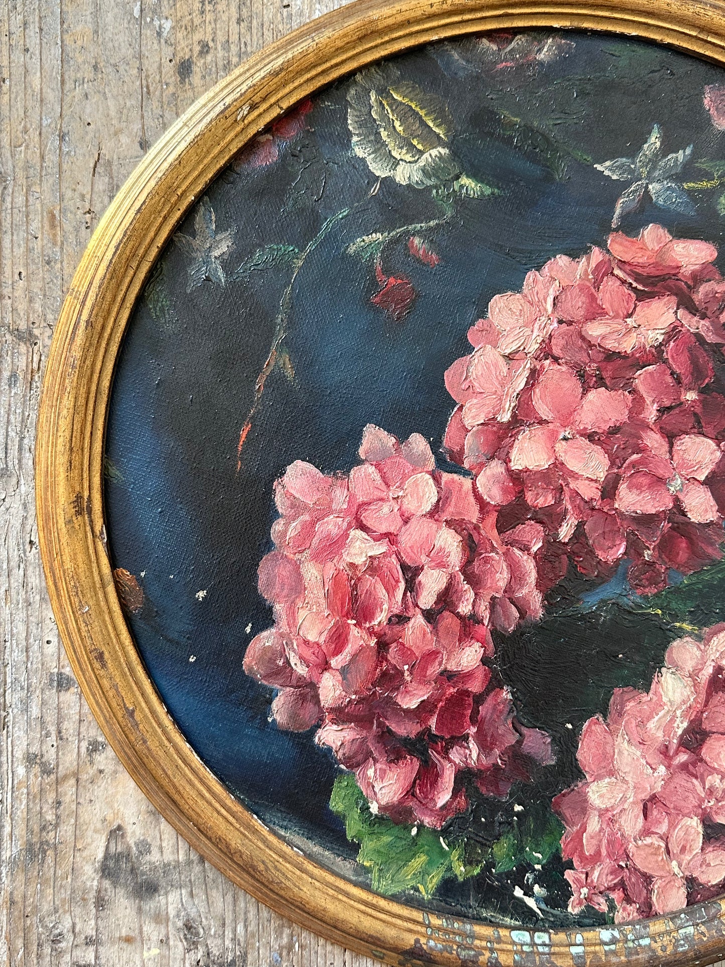 Les hortensias