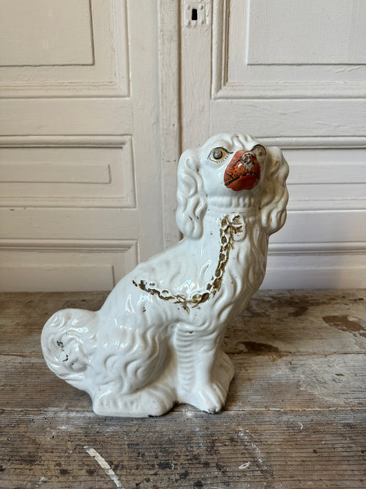 Chien staffordshire