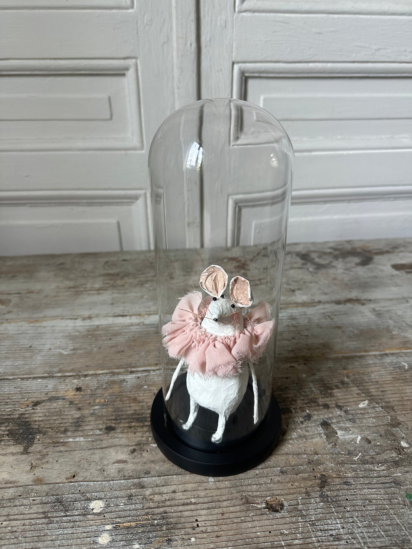Petite souris sous cloche