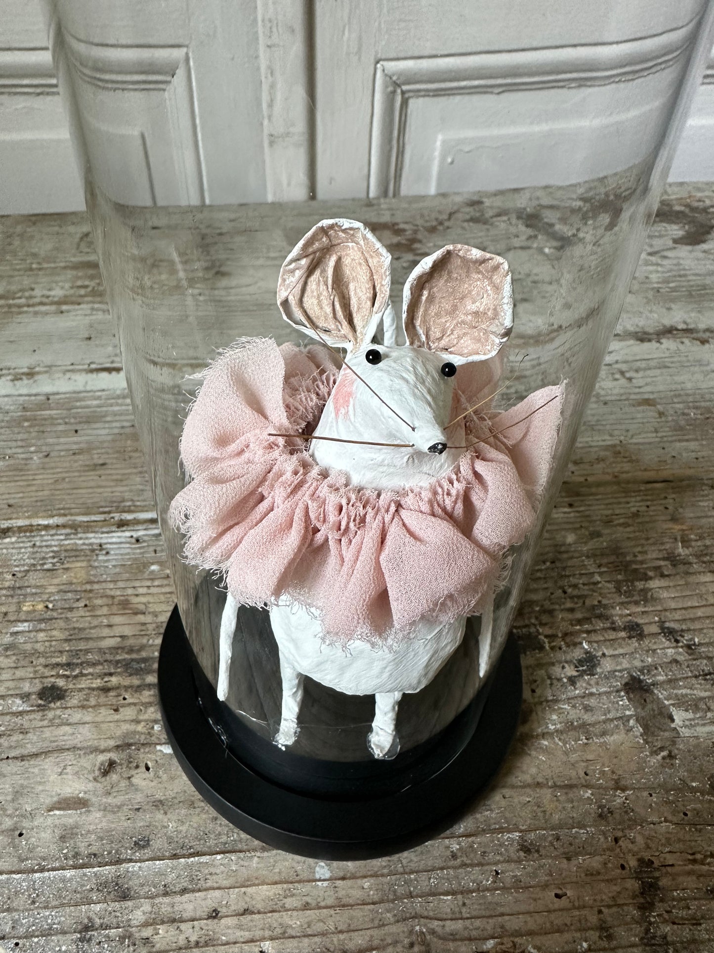 Petite souris sous cloche