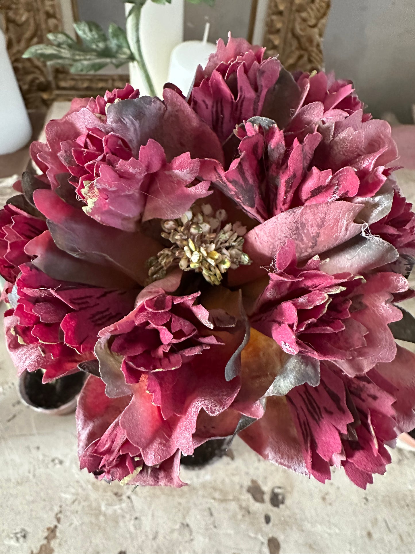 Pivoine