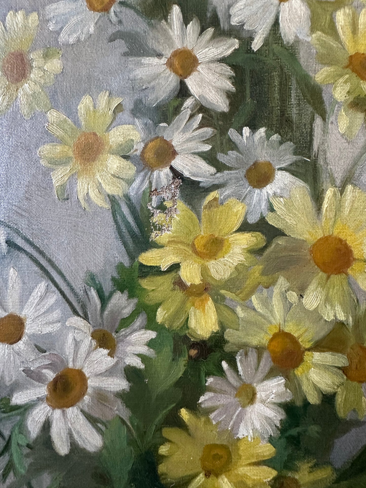 Marguerites