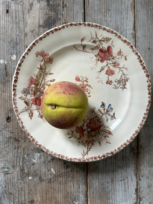 Pêche
