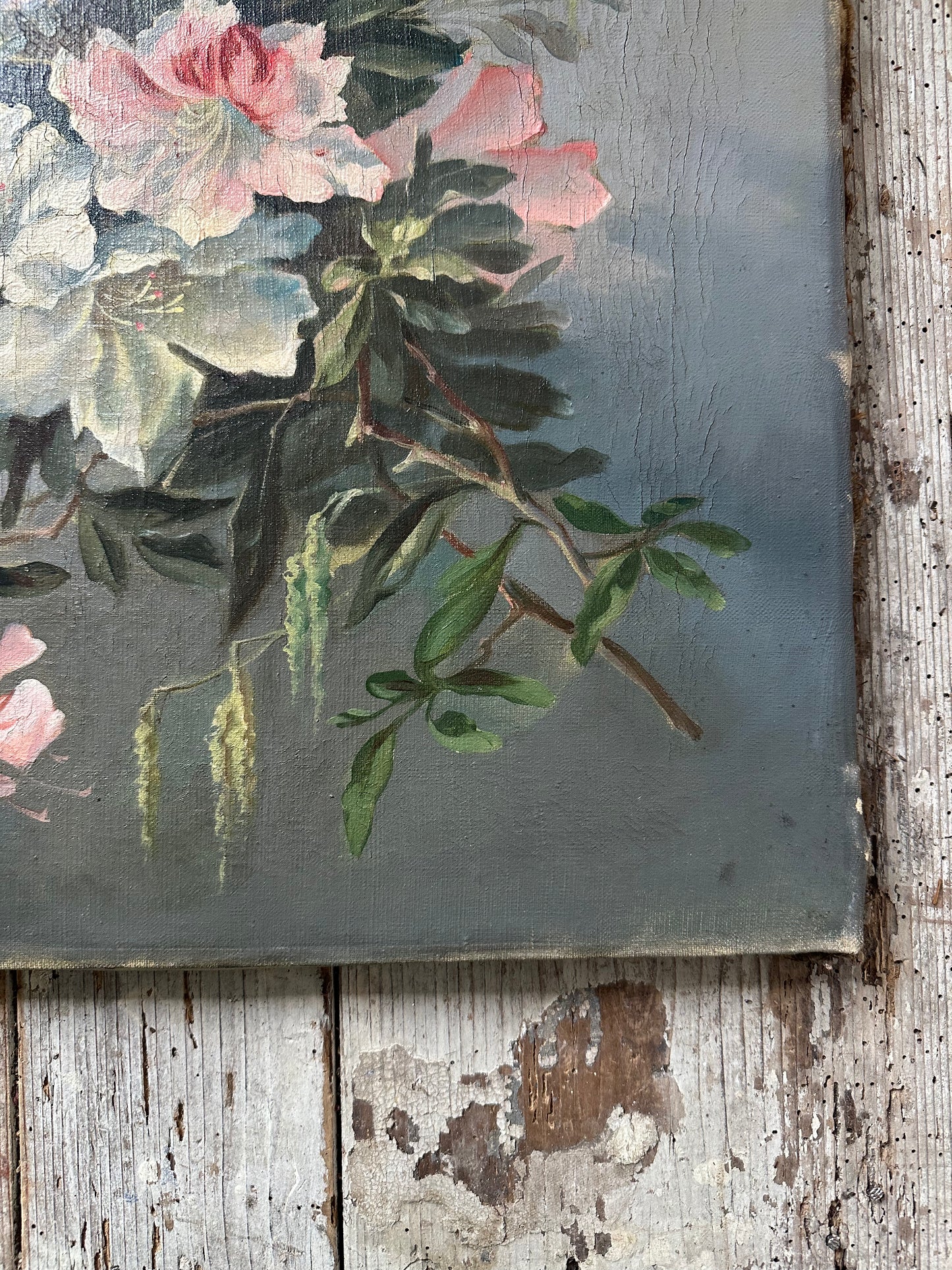 Azalée