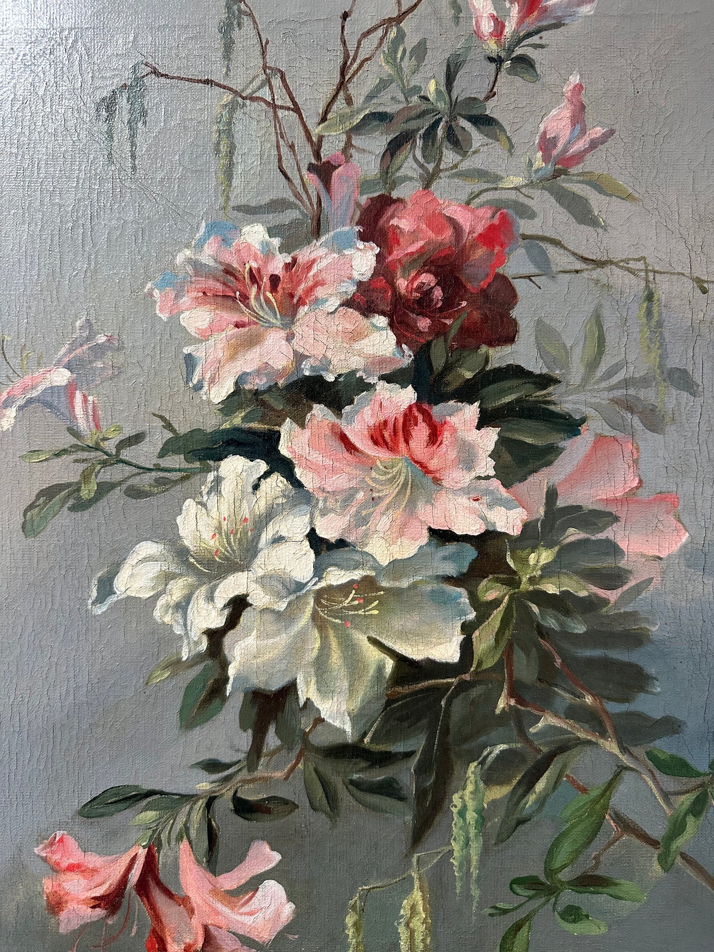 Azalée