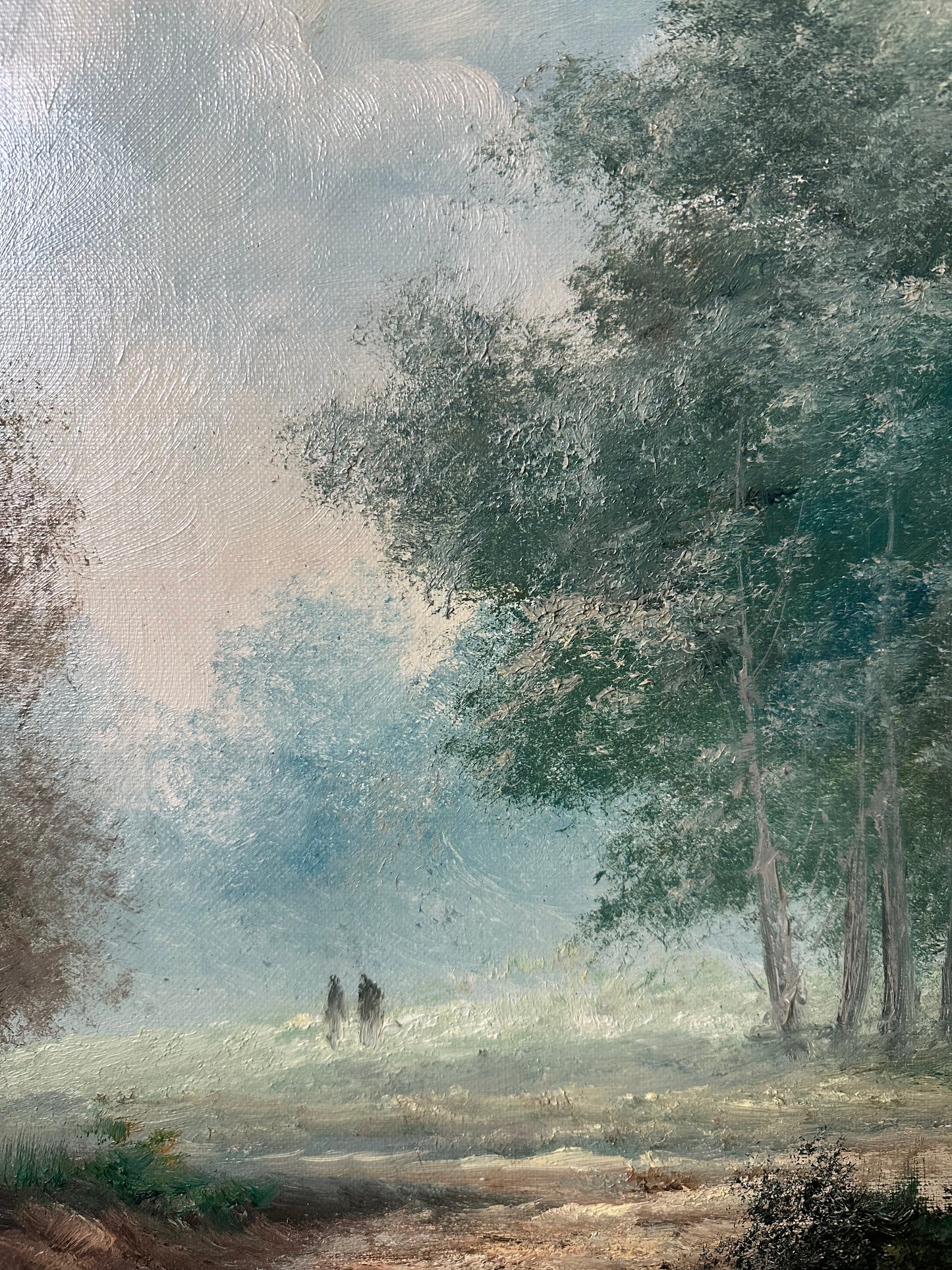 Balade en forêt