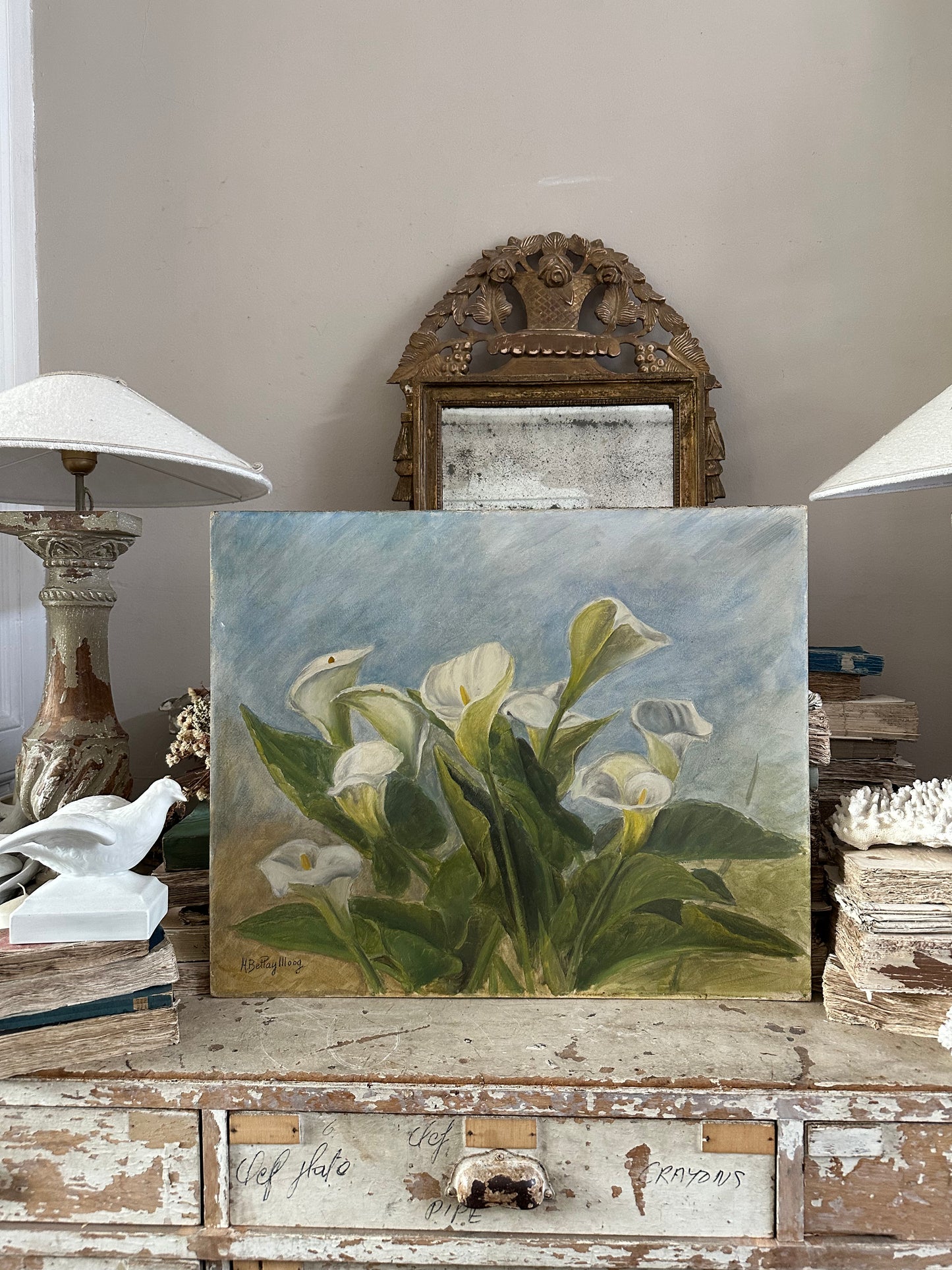 Les arums blancs