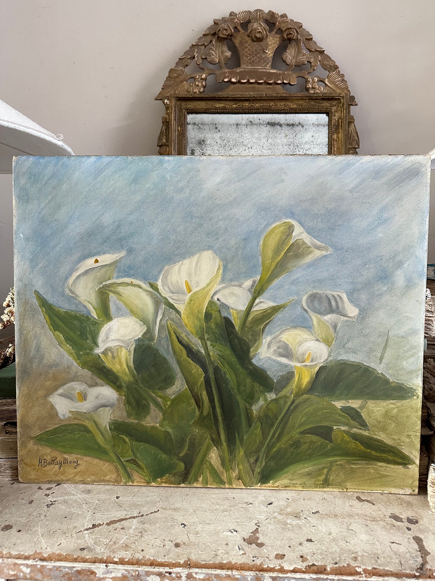 Les arums blancs