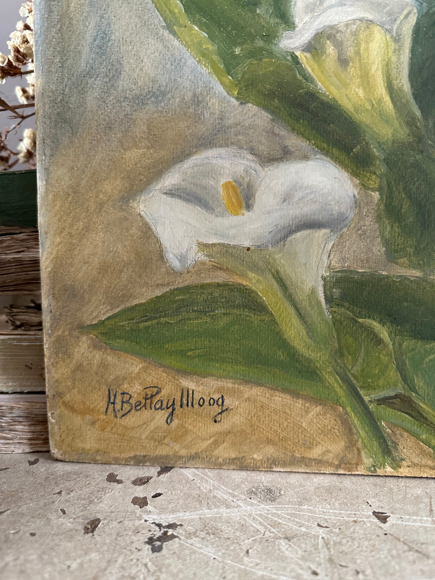 Les arums blancs