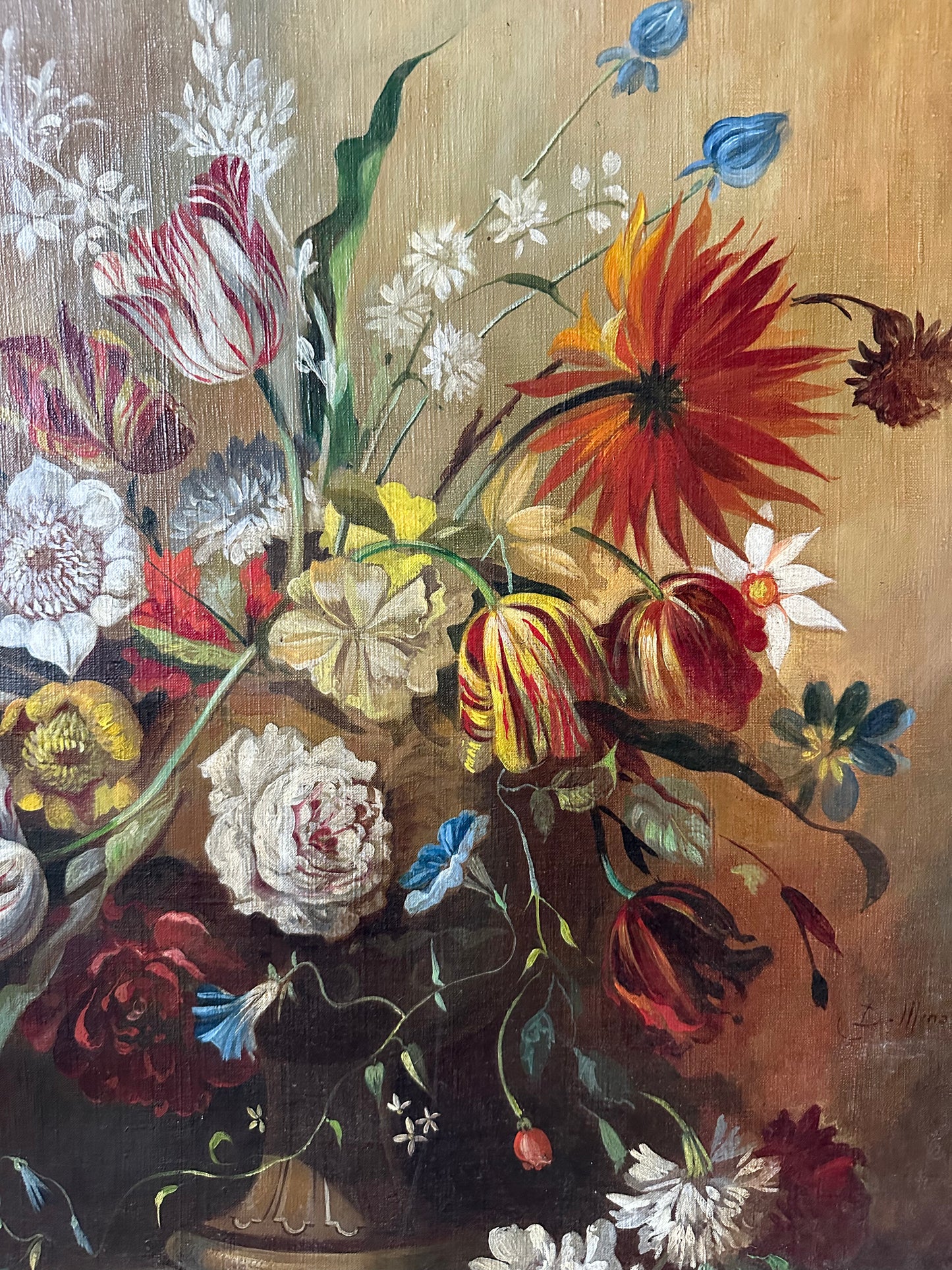 Le jardin de tulipes