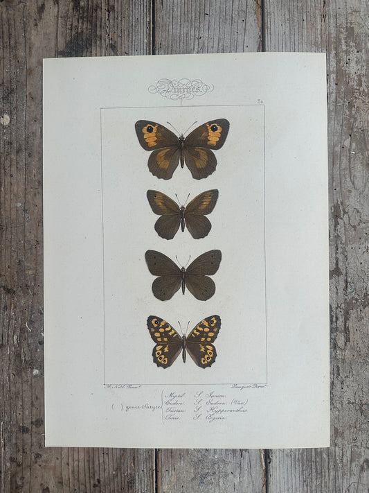 Papillons