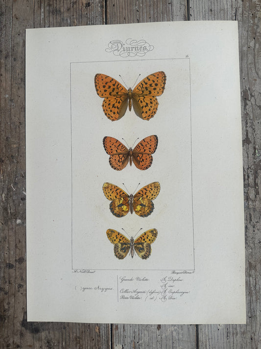 Papillons