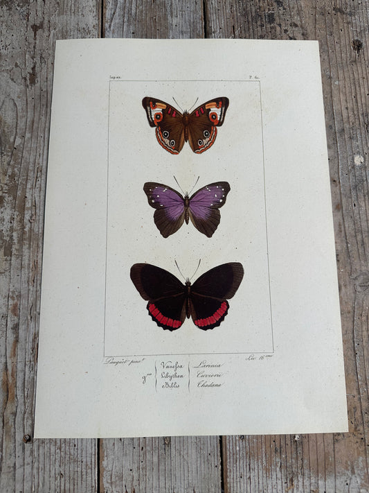 Papillons