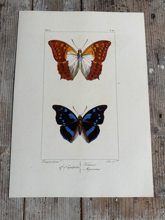 Papillons