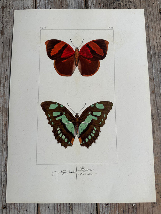 Papillons