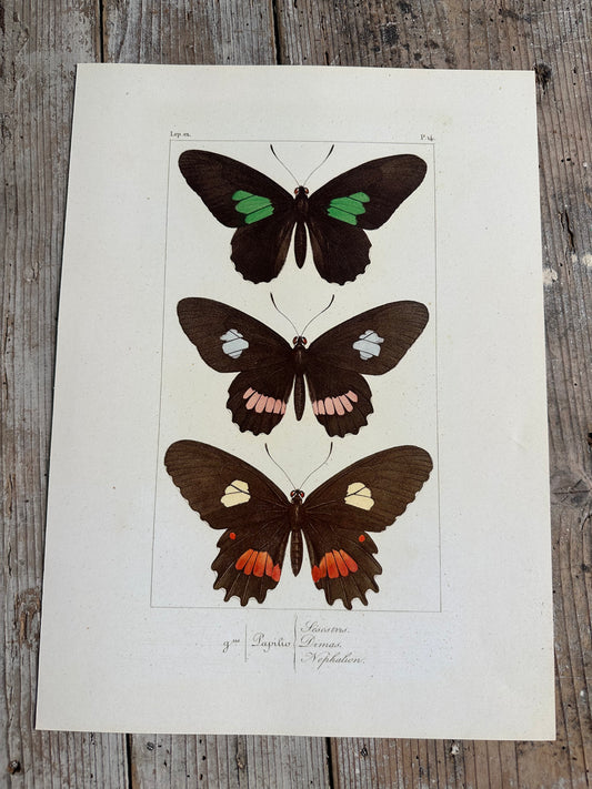 Papillons