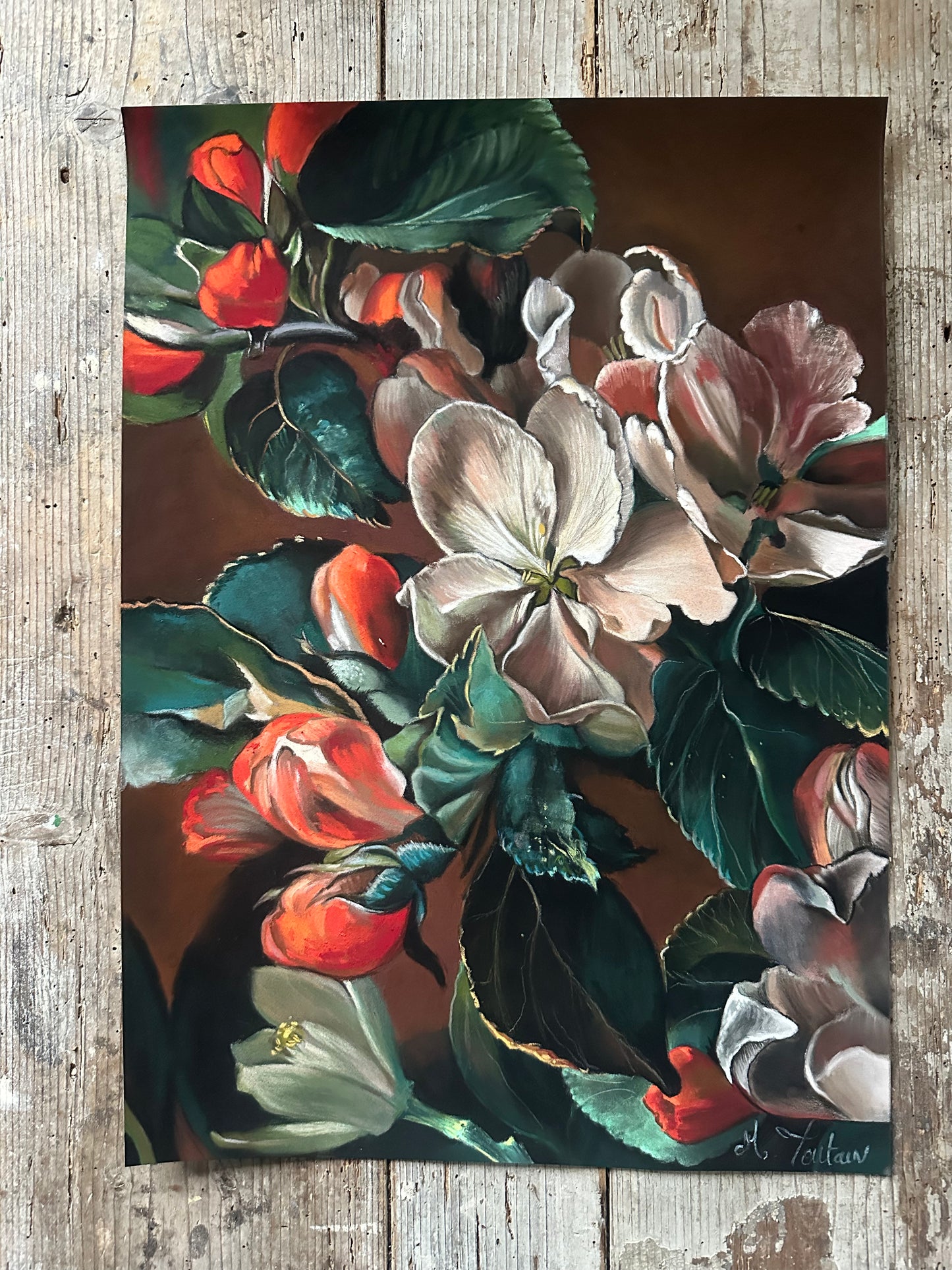 Fleurs de pommier