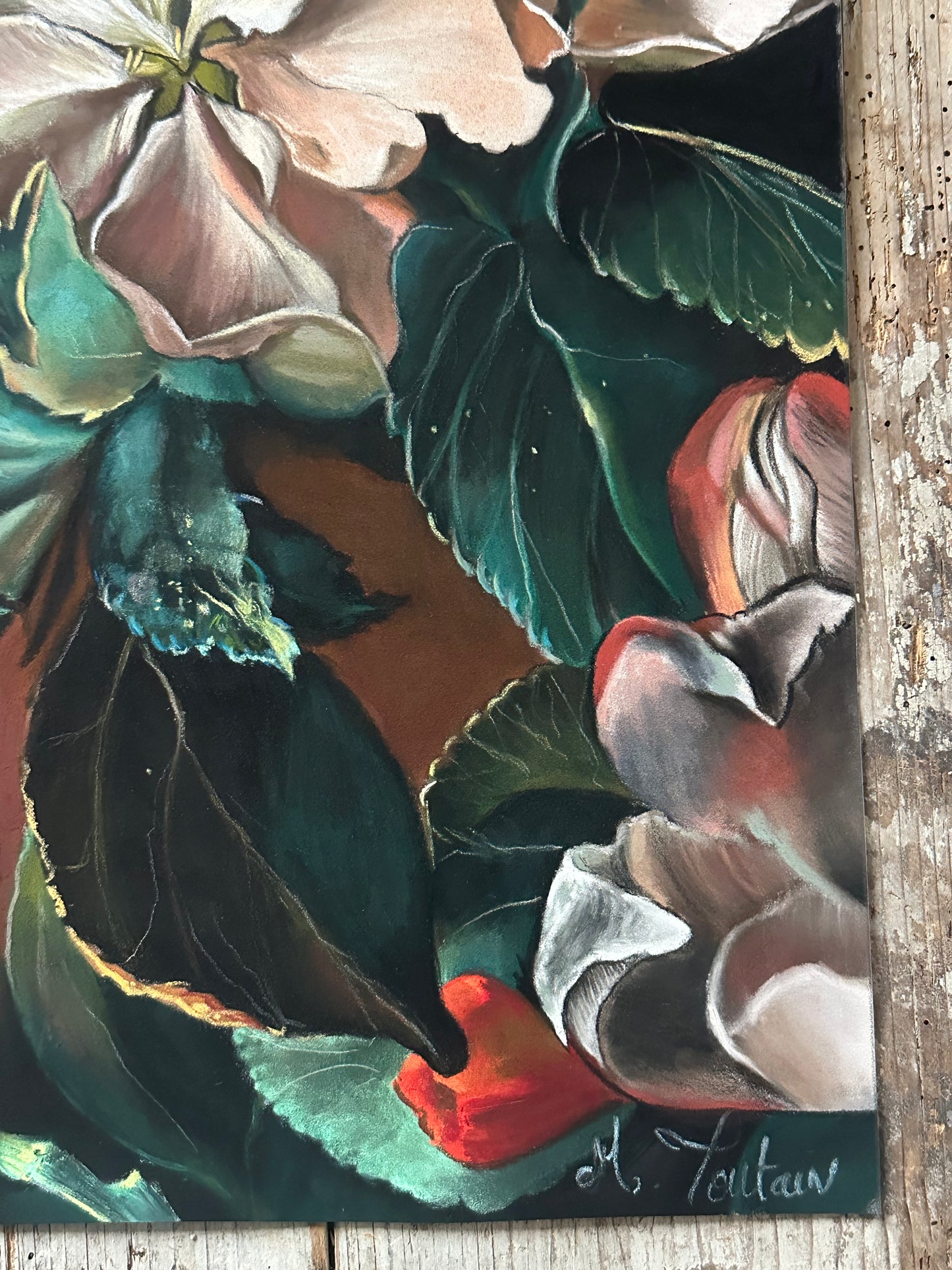 Fleurs de pommier