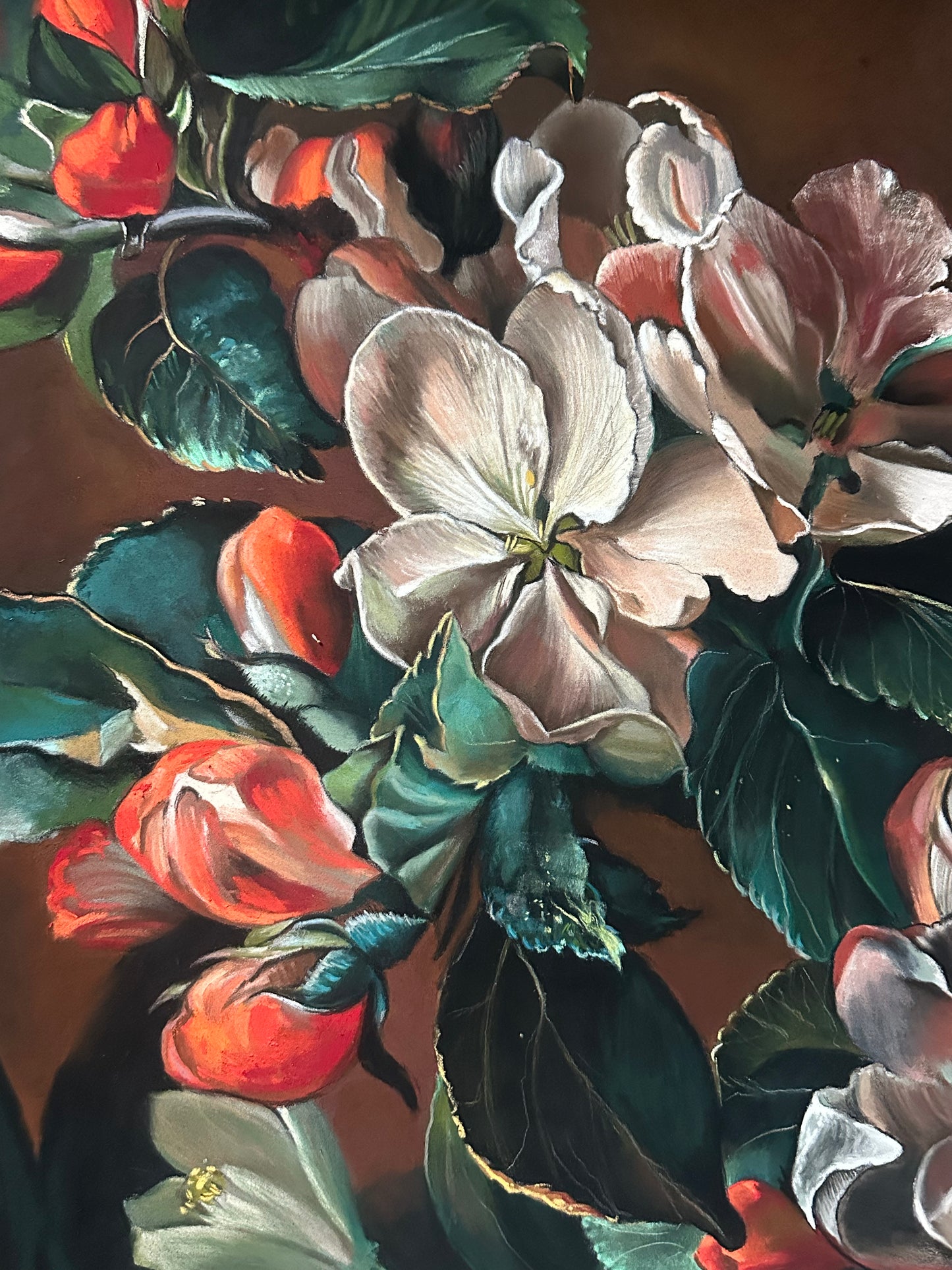 Fleurs de pommier