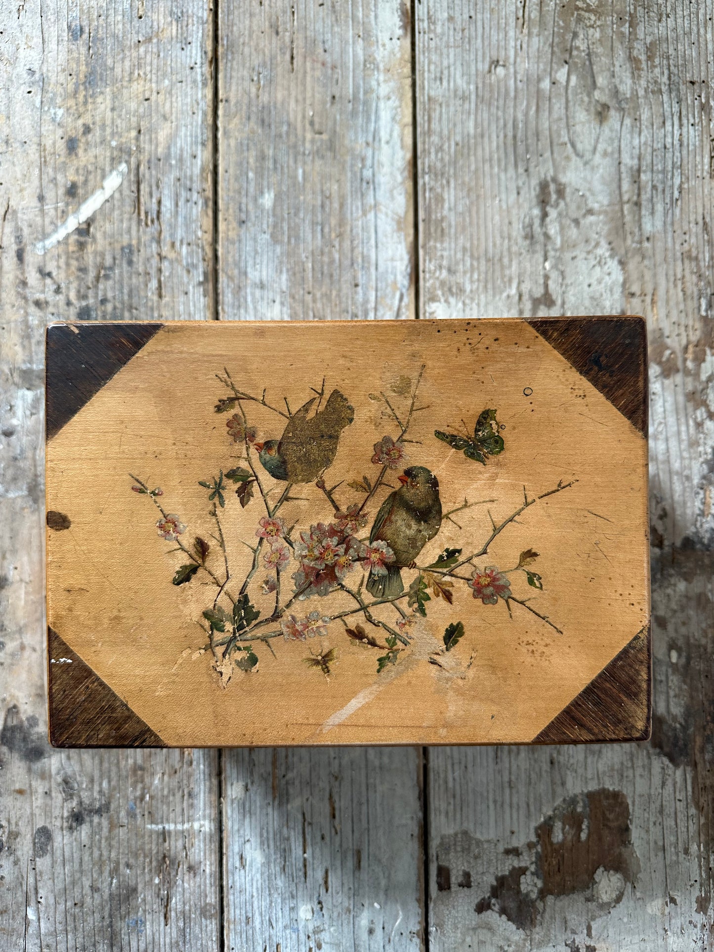 Boîte aux oiseaux