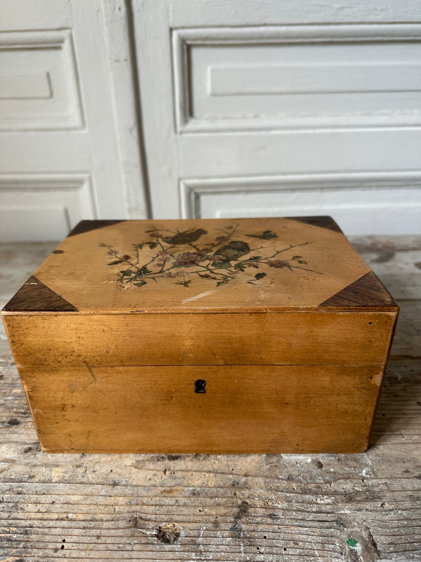 Boîte aux oiseaux